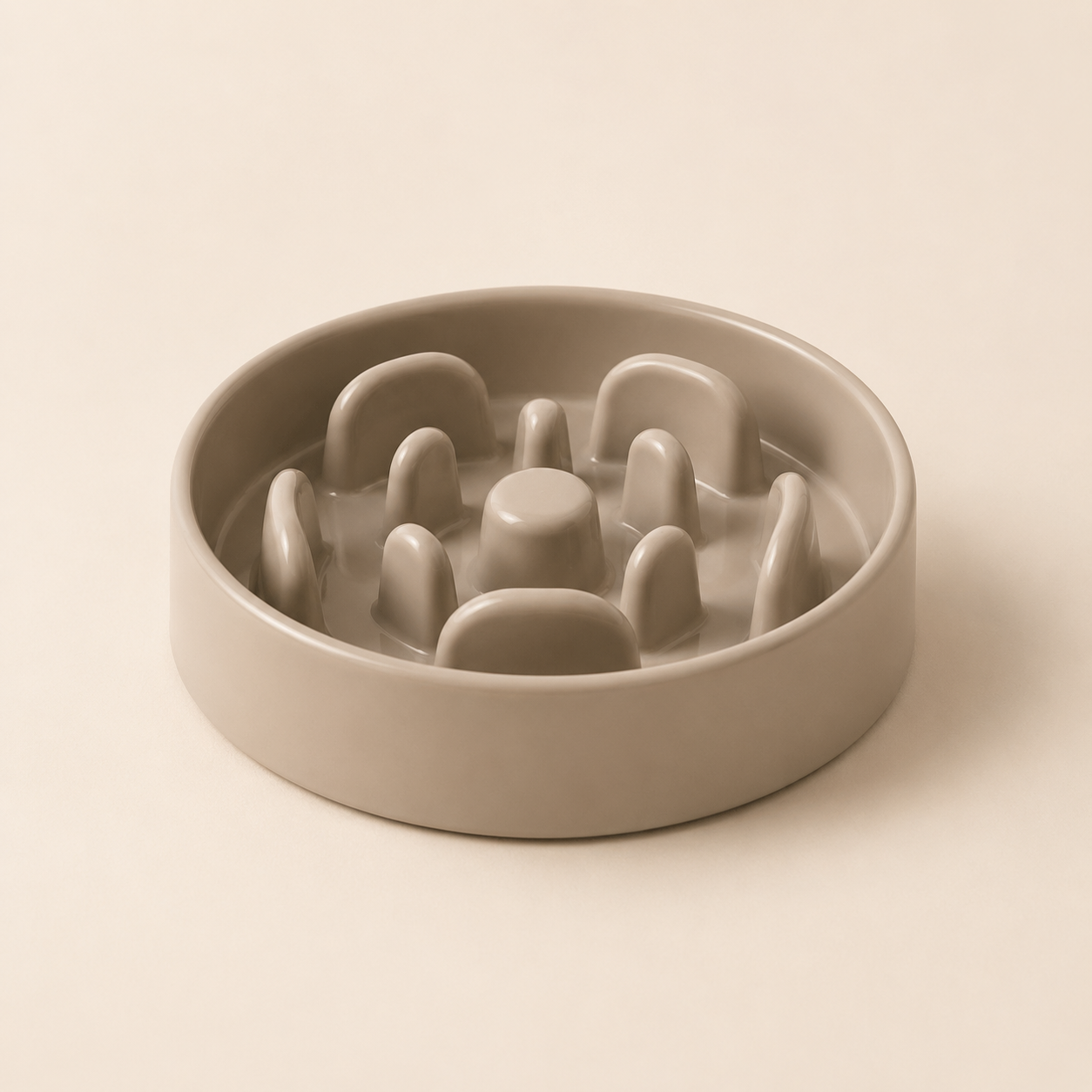 Slow Feeder Dog Bowl product image