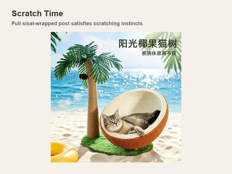 Scratch